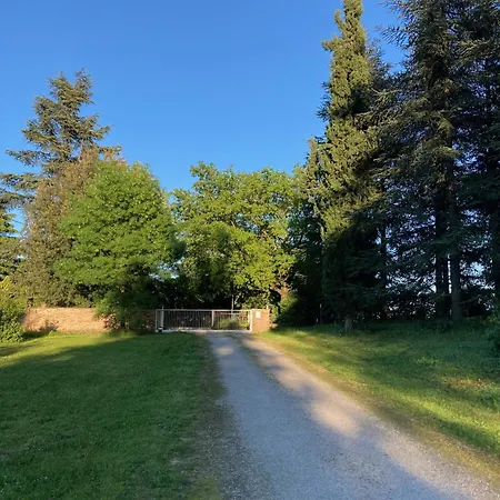 Mama Ro 3* Чезена