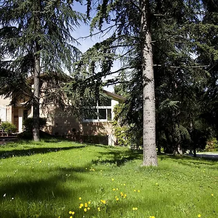 Mama Ro Чезена