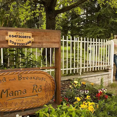 Bed and Breakfast Mama Ro