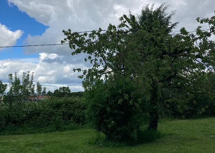 Mama Ro Bed & Breakfast Cesena