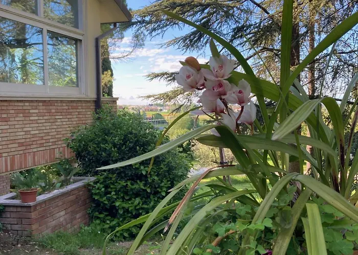 Bed & Breakfast Mama Ro 3*